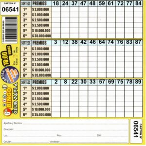 6 MINI Bingo ZAPLA - Cartón 6541