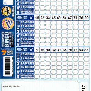 6 MINI Bingo TALLERES - Cartón 4717
