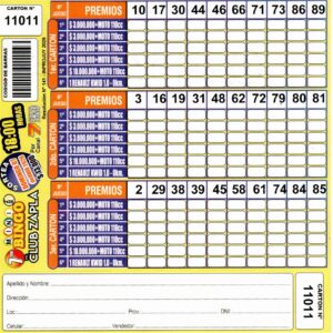 7 MINI Bingo ZAPLA - Cartón 11011