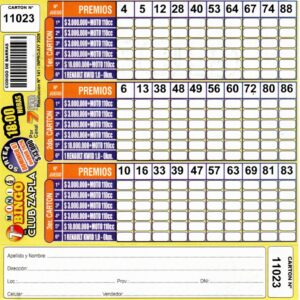 7 MINI Bingo ZAPLA - Cartón 11023